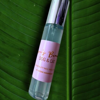 Invicti Paw (Maskulin)